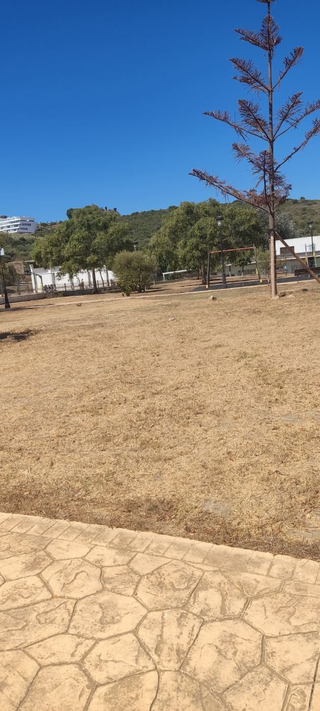 Zonas verdes secas por falta de cuidado