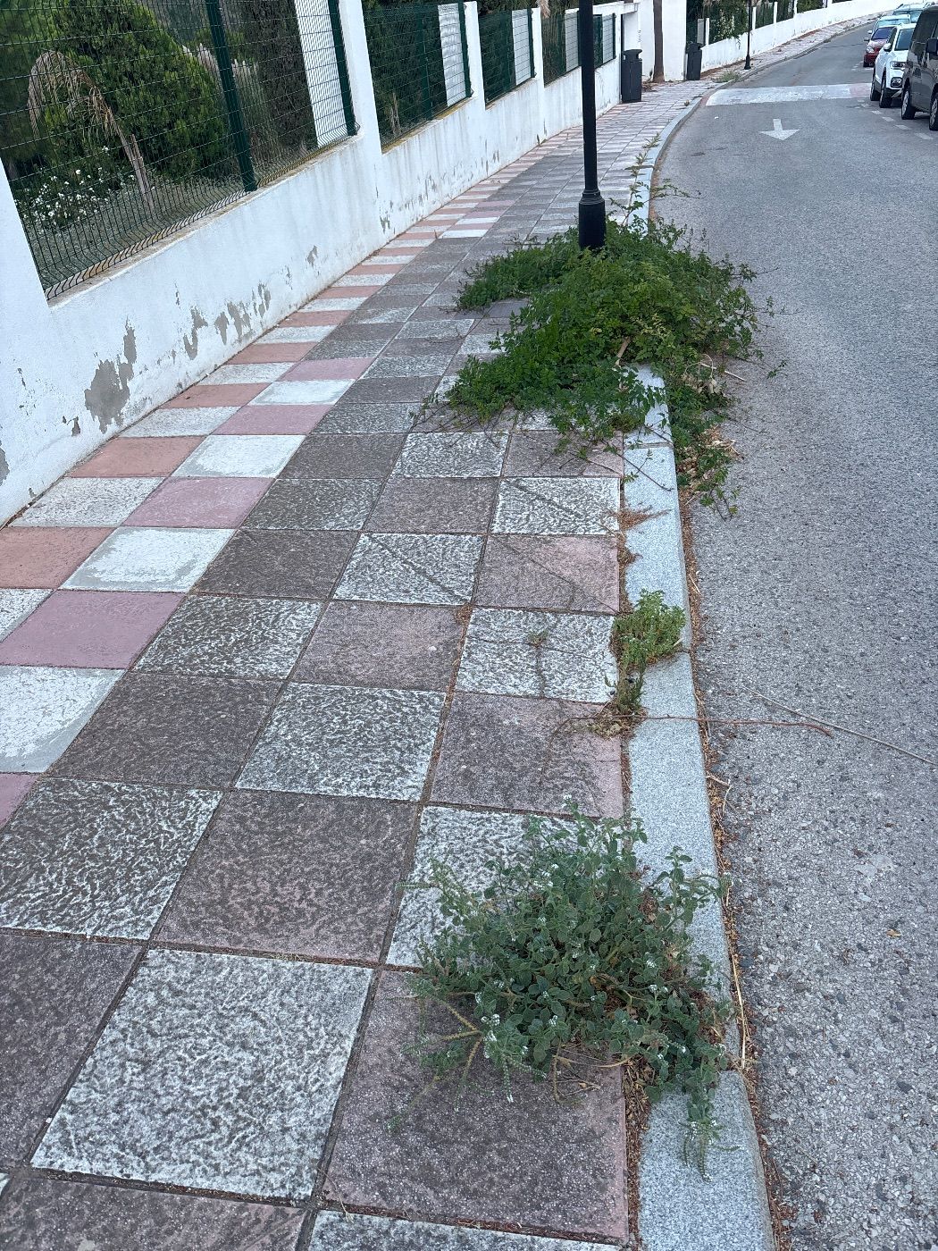 Acerado sin cuidar
