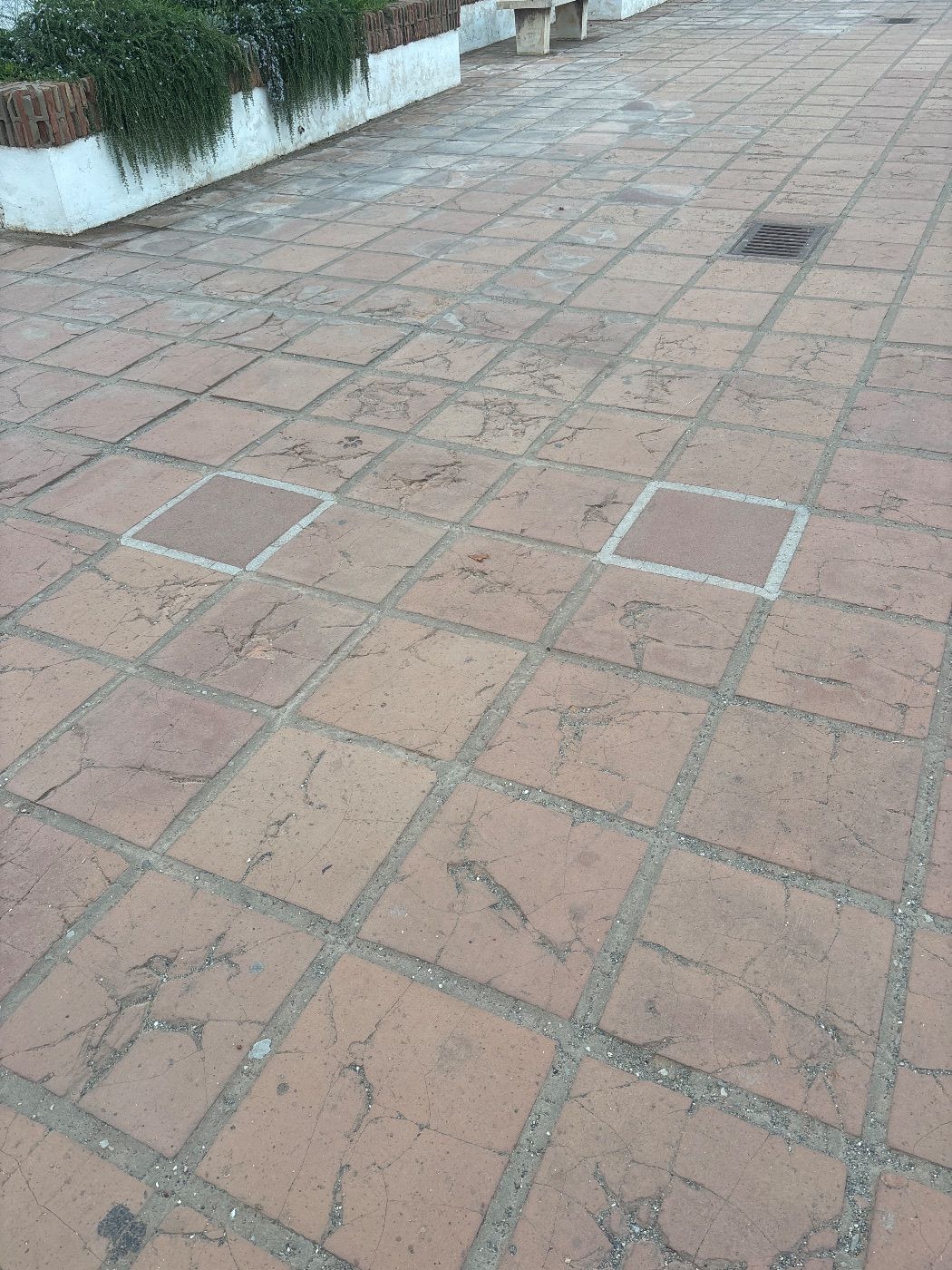 Reforma paseo
