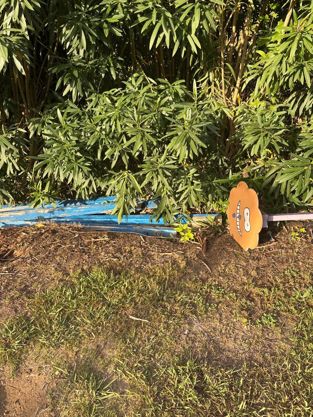 Abandono de parques