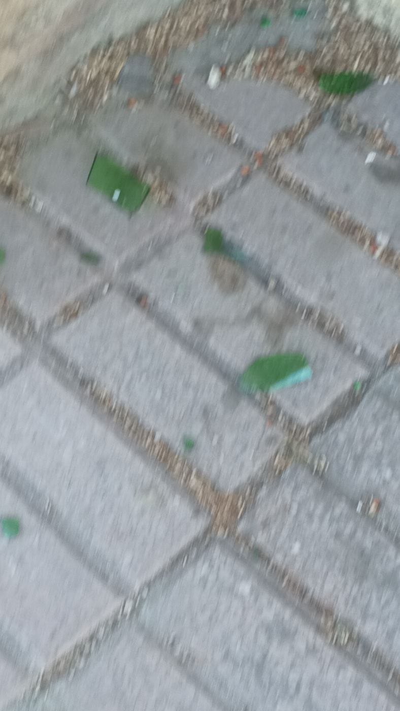 Cristales en una de las entradas del parque de villamatilde