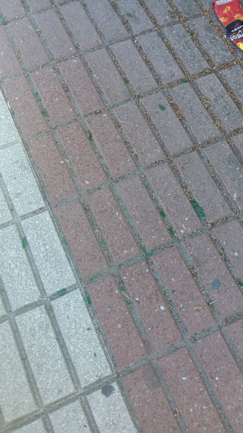 Cristales en una de las entradas del parque de villamatilde