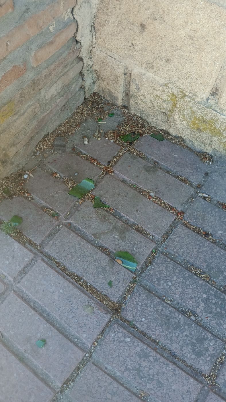 Cristales en una de las entradas del parque villamatilde