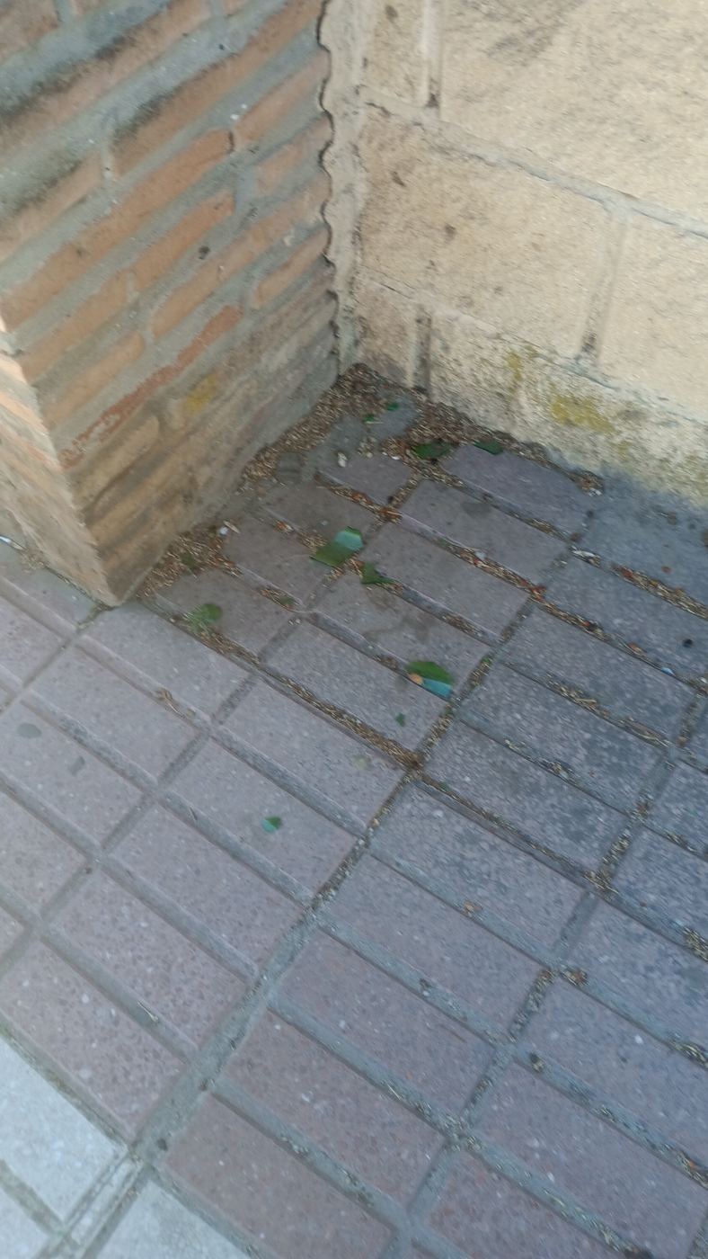 Cristales en una de las entradas del parque villamatilde