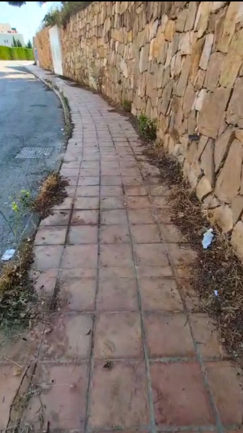 Aceras, alumbrado y jardines