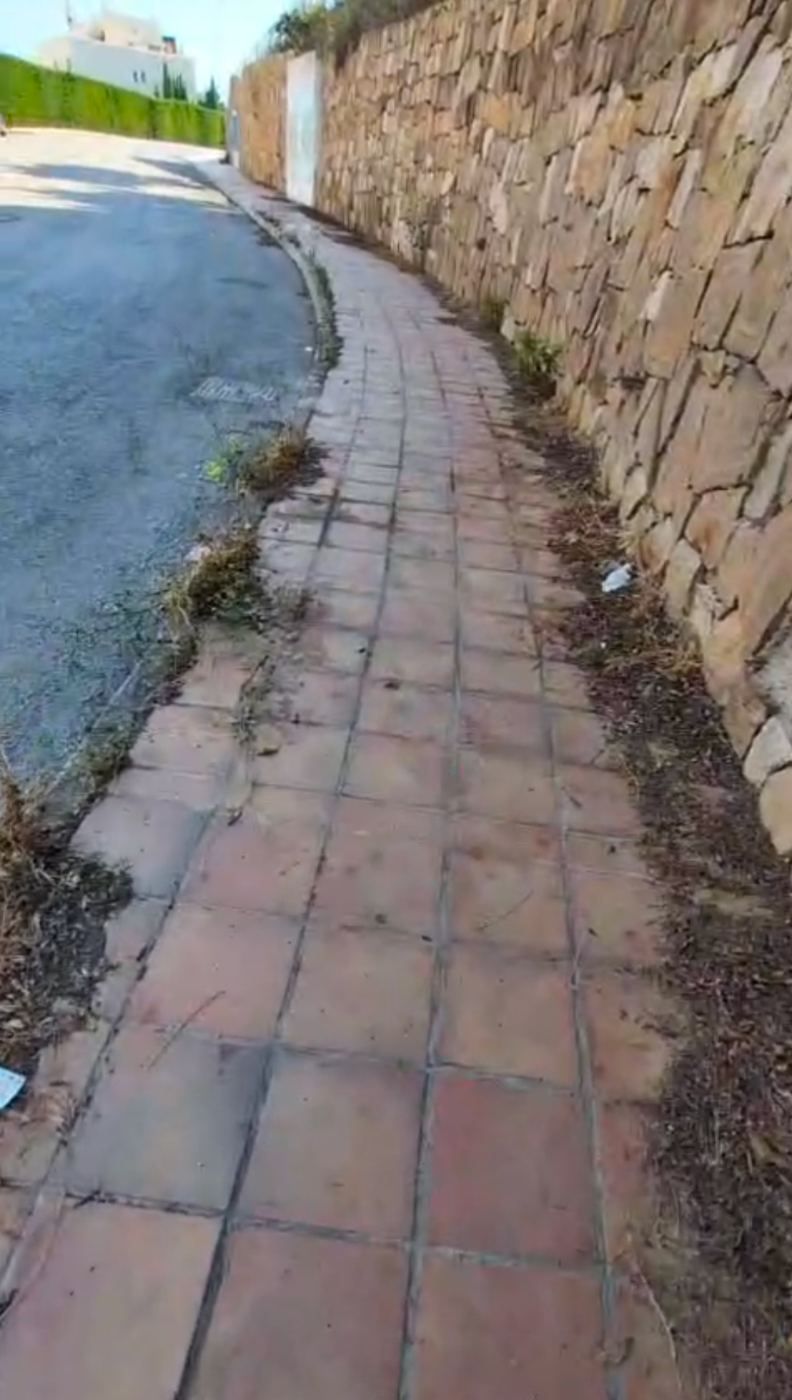 Aceras, alumbrado y jardines
