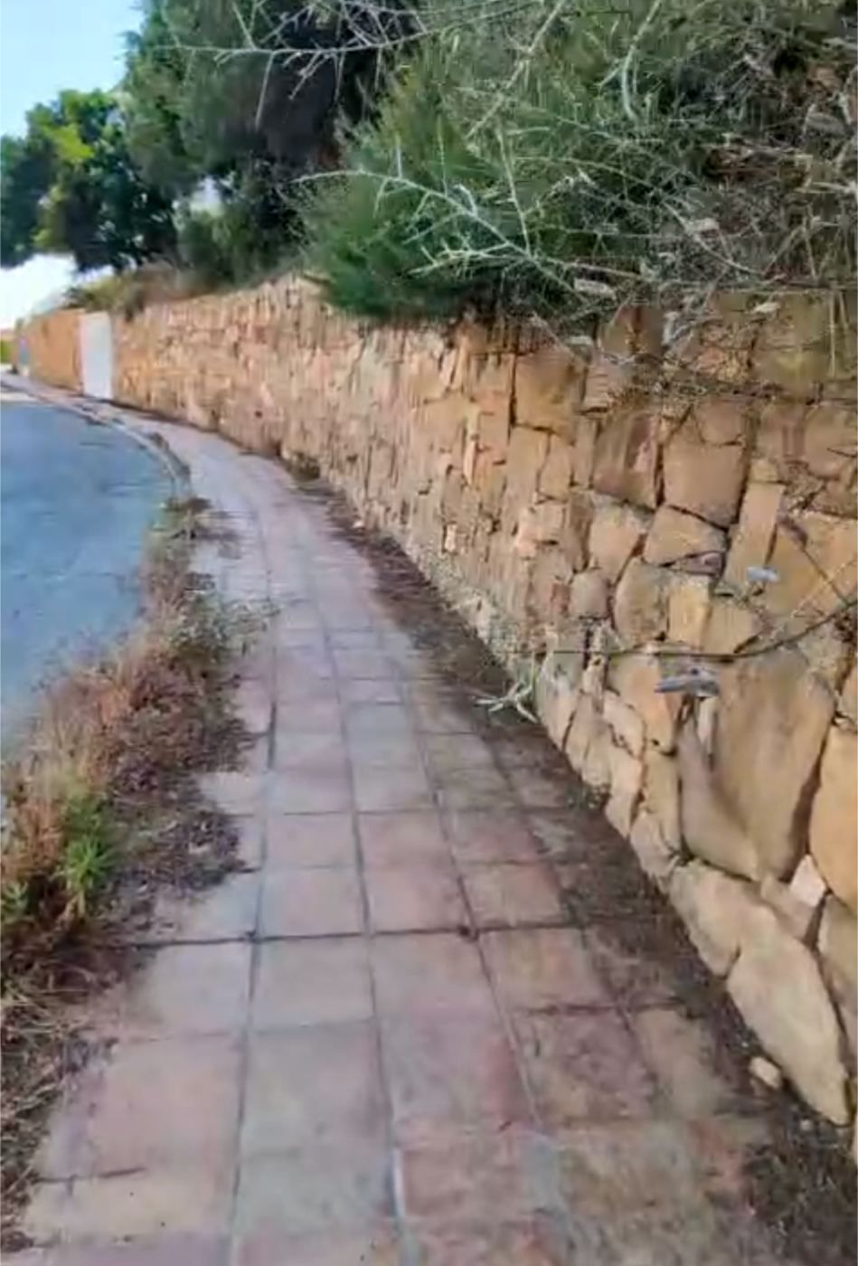 Aceras, alumbrado y jardines