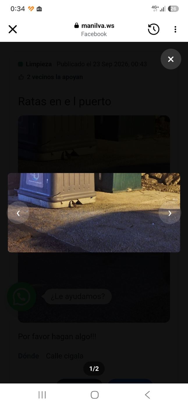 Lleno de ratas hay como 30 en la basura puerto de la duquesa
