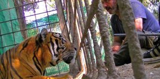 Zoo de Castellar