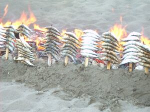 Dia del Turista en Sabinillas