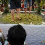 Fiesta de la Vendimia de Manilva