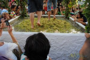 Fiesta de la Vendimia de Manilva