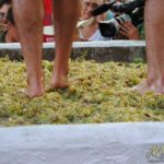 Fiesta de la Vendimia de Manilva