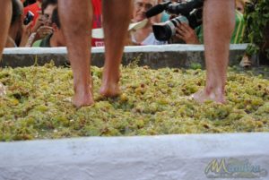 Fiesta de la Vendimia de Manilva