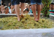 La vendimia (1º de Septiembre) Fiesta de la Vendimia de Manilva