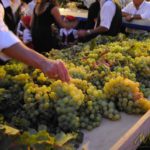 Fiesta de la Vendimia de Manilva