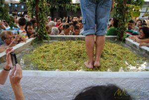 Fiesta de la Vendimia de Manilva