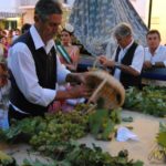 Fiesta de la Vendimia de Manilva