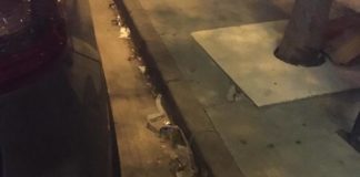 La basura se acumula en las calles de la Avenida de España