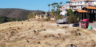 Hacienda Guadalupe se integra en el mundo rural