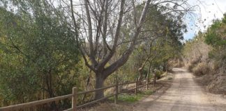 Limpieza y mejoras en la Peñuela