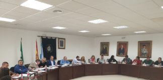 Pleno ordinario con diferentes puntos a tratar