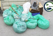 Acorn realiza su última limpieza del año Acorn