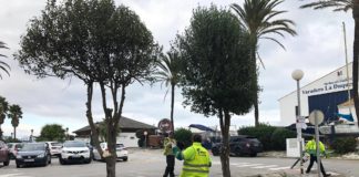 Continuan los trabajos en parques y jardines jardineros en el Puerto de la Duquesa