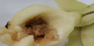 Denuncian al caterings del Pablo Picasso de Manilva