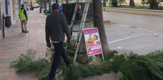 Trabajos de poda en Sabinillas