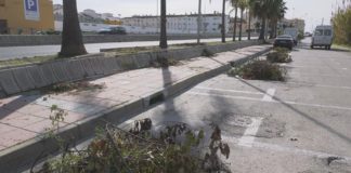 Arreglo de las jardineras de la A7