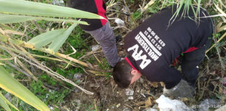 Se intensifican los trabajos de limpieza en el Recinto Ferial