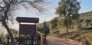 Mejoras en la zona de la Peñuela La Peñuela