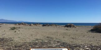 Refuerzos en la limpieza de playas