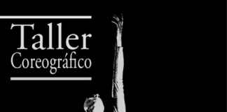 Taller coreográfico profesional