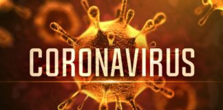 Se suspenden los carnavales, mercadillos y viajes entre otras medidas