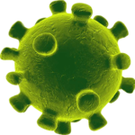 coronavirus 300