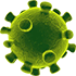 coronavirus 70