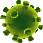 coronavirus150