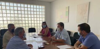 Plan de formación para empresas locales