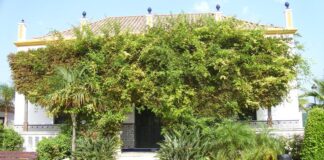 Mejoras en Villa Matilde para potenciar su uso Villa Matilde-Manilva