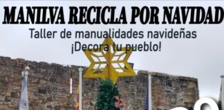 Se cancela el Taller de Manualidades arbol Navidad