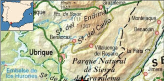 Terremoto con epicentro en Ubrique se hace notar en Manilva Terremoto