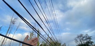Mario Jimenez y Aitor Menoyo se reúnen con Telefónica