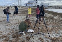 Manilva se promociona en «A Place In The Sun»