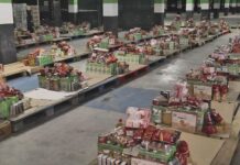 El banco de alimentos llega a 415 familias banco de alimentos