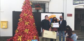 Entrega de premios de concursos navideños concursos navidad
