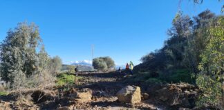 Reforestación en el Paraje Natural El Calvario Reforestacion