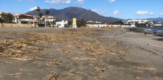 El Ayto remitirá un informe a Costas cañas en la playa