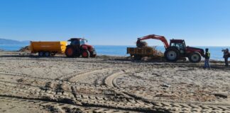 Limpieza del litoral tras el paso de Filomena Cañas en las playas de Sabinillas